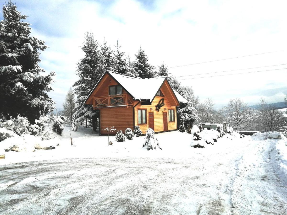 Chrzaszczewo Widokowe Wzgorze 2 Appartement Uherce Mineralne Buitenkant foto